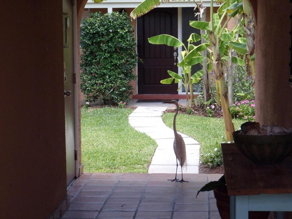 Beach Road Villas Sanibel Exterior photo